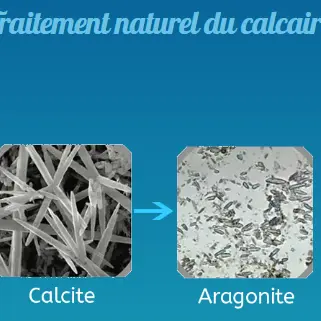 calcite et aragonite