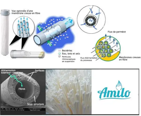 filtration nanopore amilo